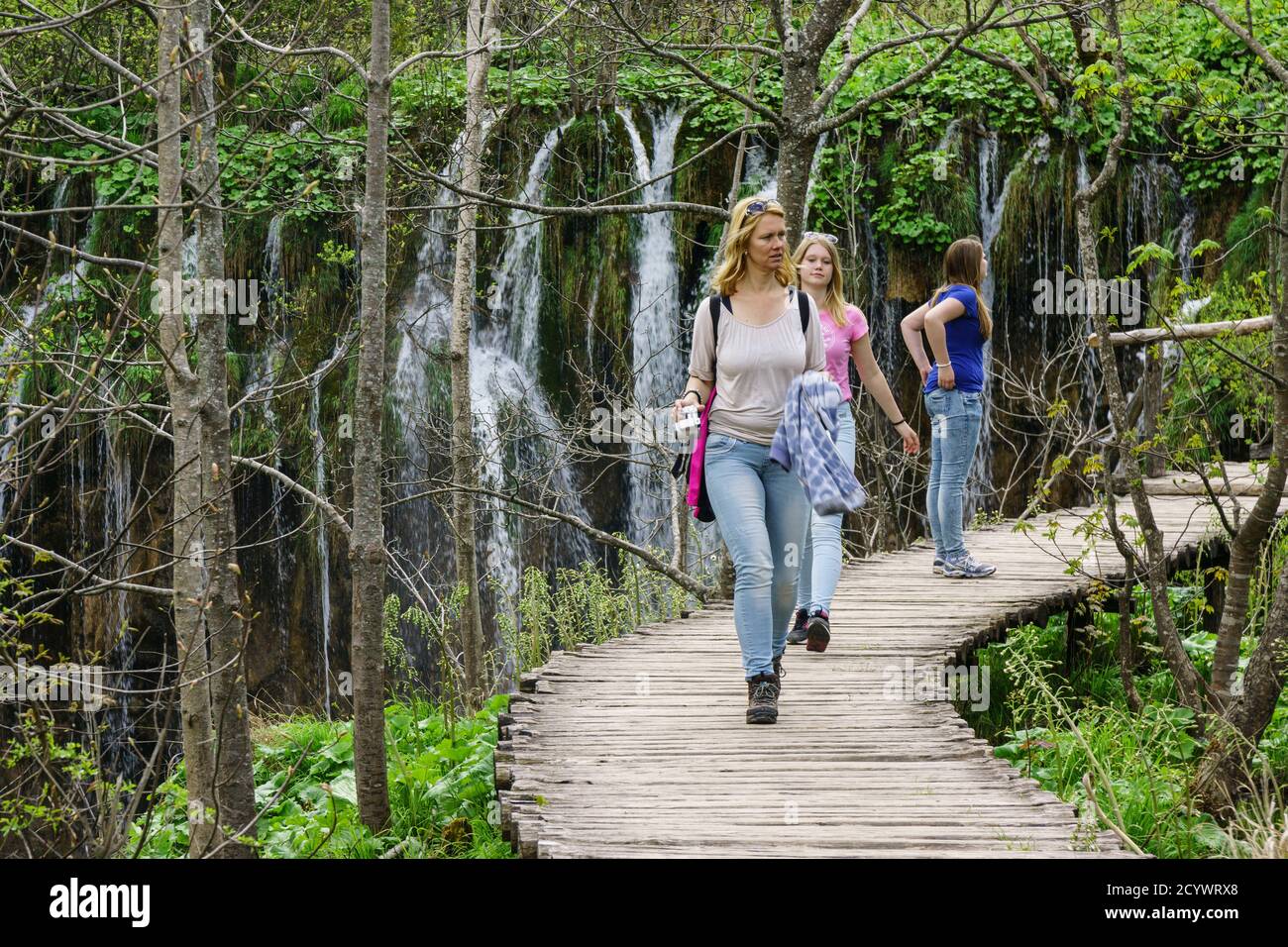 Parque Nacional de los Lagos de Plitvice, Patrimonio Mundial de la UNESCO, Kroatien, Europa Stockfoto