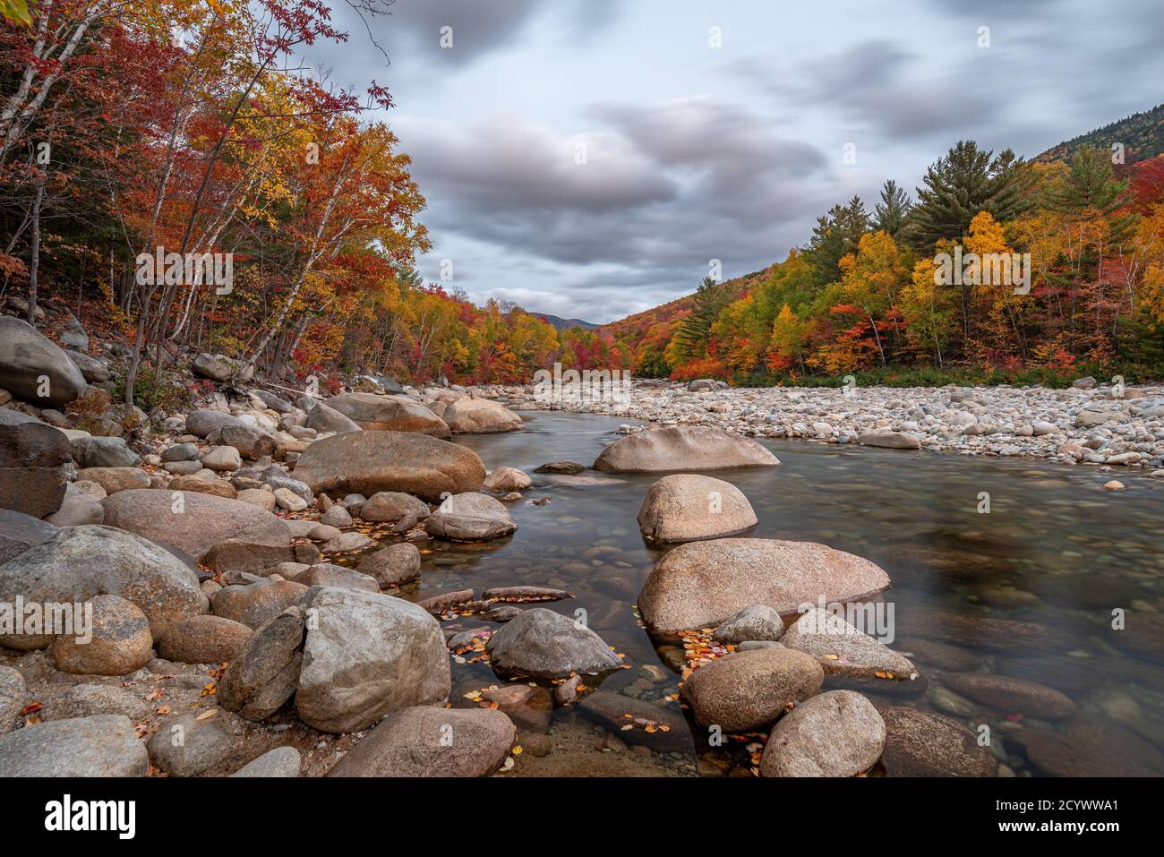 Das Herbstlaub vom Ufer des East Branch Pemigewasset River neben dem Kancamagus Scenic Byway aus gesehen. Stockfoto