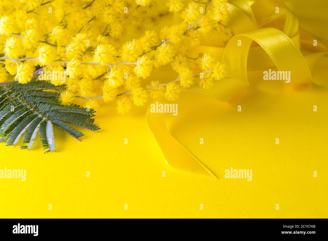 Frauentag, Zweig der Mimose mit gelbem Band Stockfoto