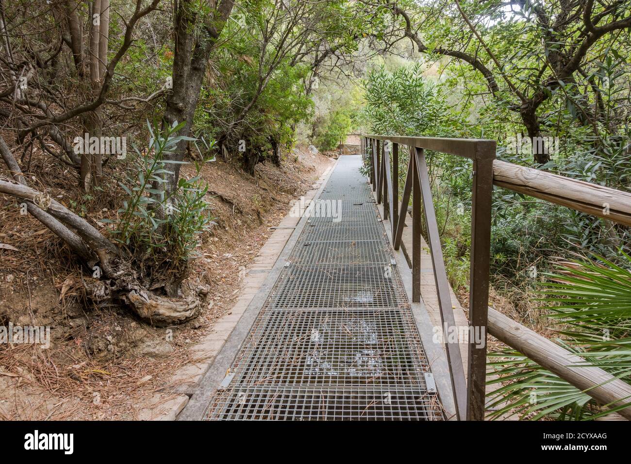 Altes acequia oder Séquia ein gemeinschaftsbetriebener Wasserlauf, der für die Bewässerung auf einem Pfad verwendet wird. Benahavis, Andalusien, Spanien. Stockfoto