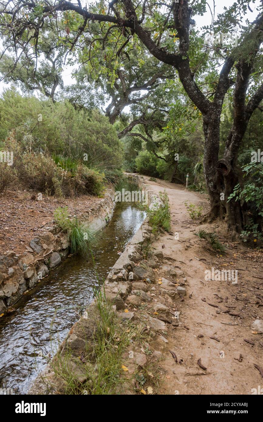 Altes acequia oder Séquia ein gemeinschaftsbetriebener Wasserlauf, der für die Bewässerung auf einem Pfad verwendet wird. Benahavis, Andalusien, Spanien. Stockfoto