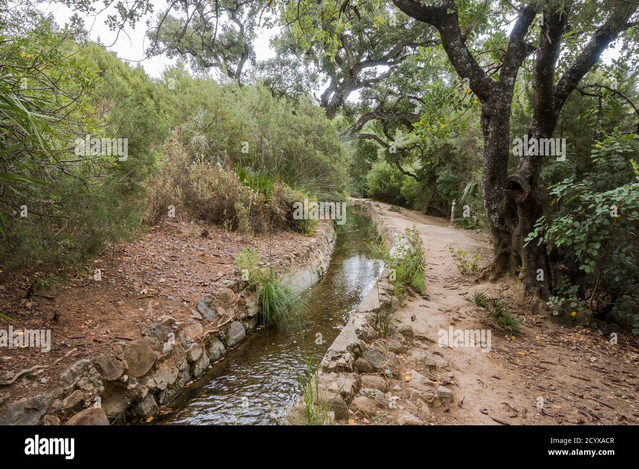 Altes acequia oder Séquia ein gemeinschaftsbetriebener Wasserlauf, der für die Bewässerung auf einem Pfad verwendet wird. Benahavis, Andalusien, Spanien. Stockfoto