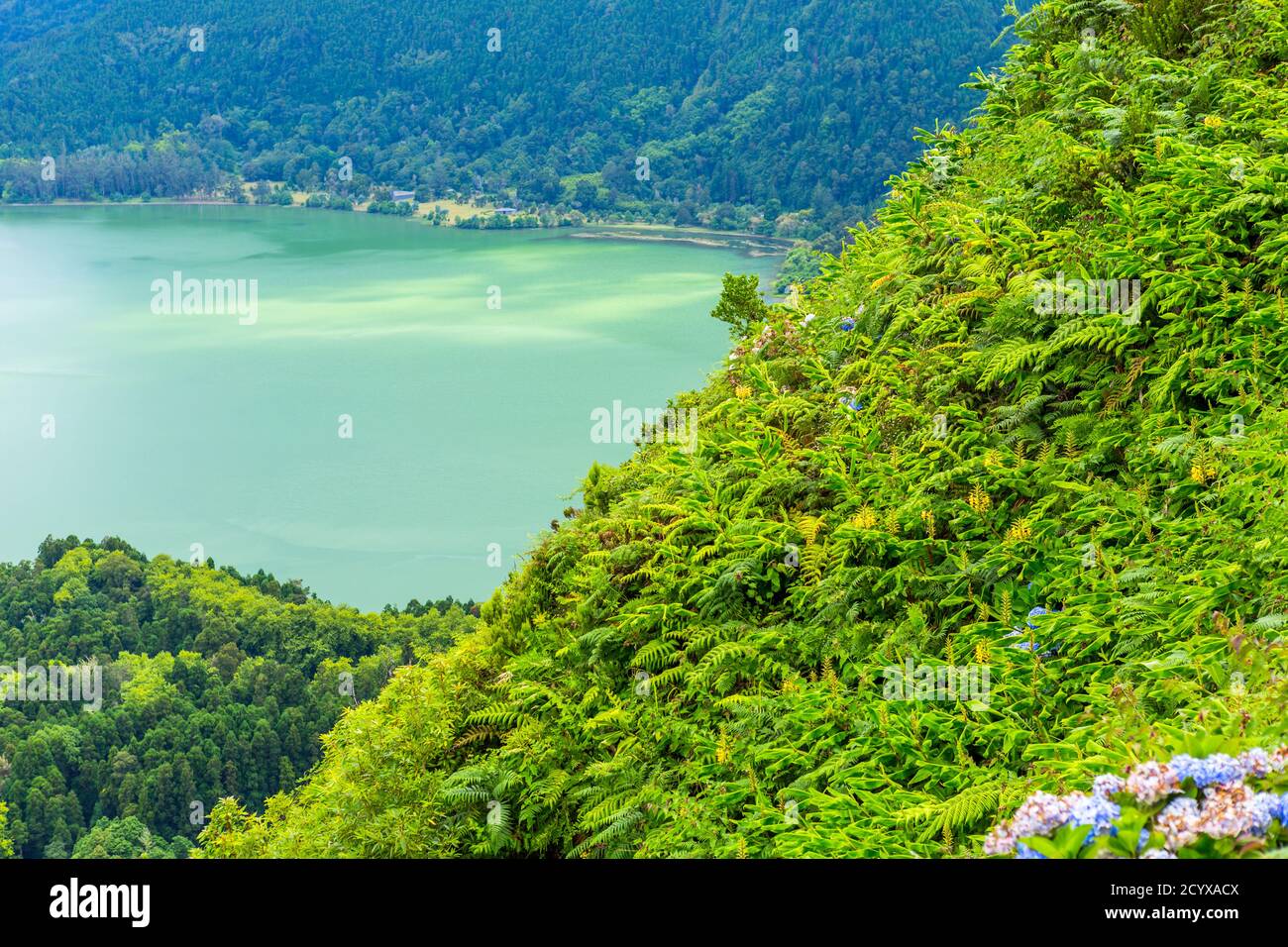 Blick auf den Furnassee (Lagoa das Furnas) auf Sao Miguel, Azoren, Portugal vom Aussichtspunkt Pico do Ferro. Stockfoto