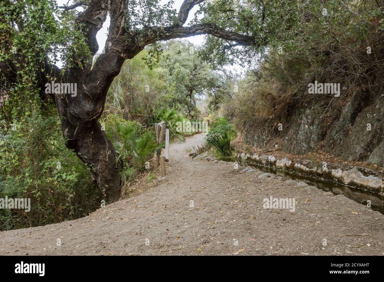 Altes acequia oder Séquia ein gemeinschaftsbetriebener Wasserlauf, der für die Bewässerung auf einem Pfad verwendet wird. Benahavis, Andalusien, Spanien. Stockfoto
