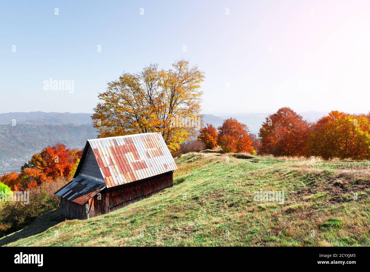 Malerische Wiese mit Holzhaus und roten Buchen in den Herbstbergen. Landschaftsfotografie Stockfoto