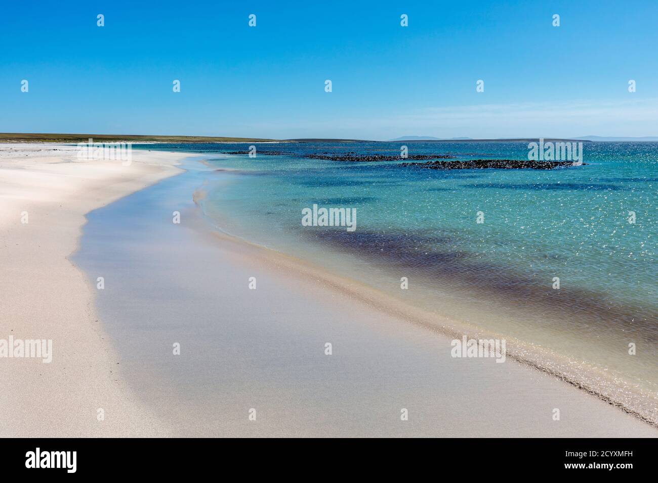 Bleaker Island; Strand; Falklands Stockfoto