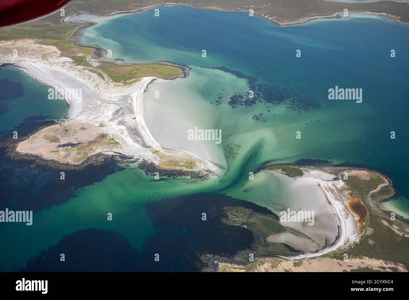 Falklands aus der Luft Stockfoto