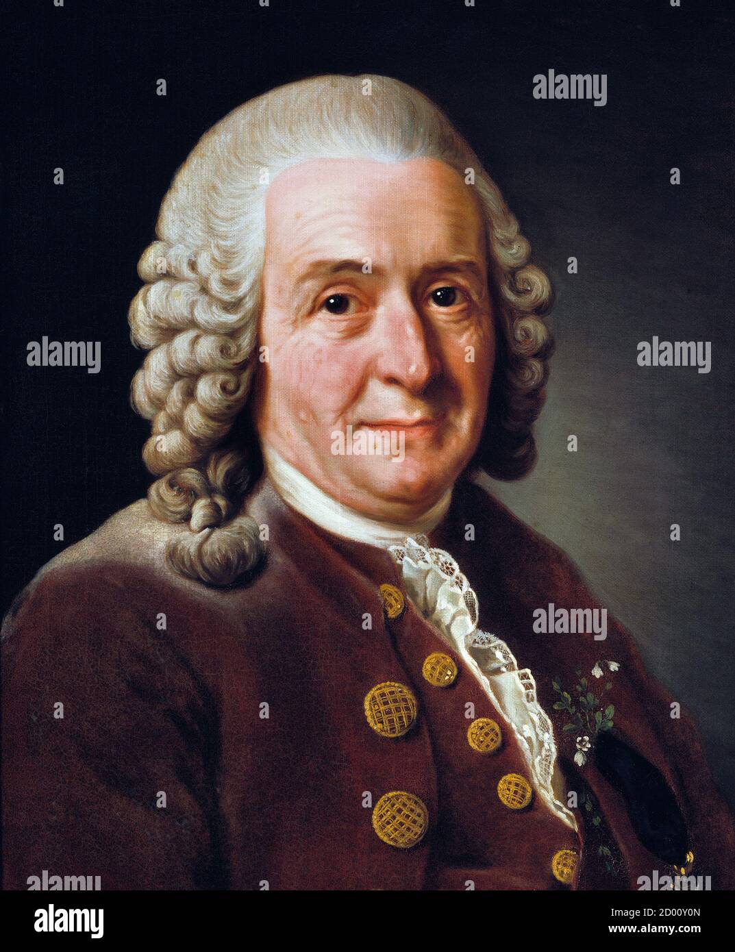 Carl Linnaeus. Porträt des schwedischen Botanikers und Zooologen Carl Linnaeus (1707-1778) von Alexander Roslin (1718–1793), Öl auf Leinwand, 1775. Nationalmuseum (Stockholm) Stockfoto