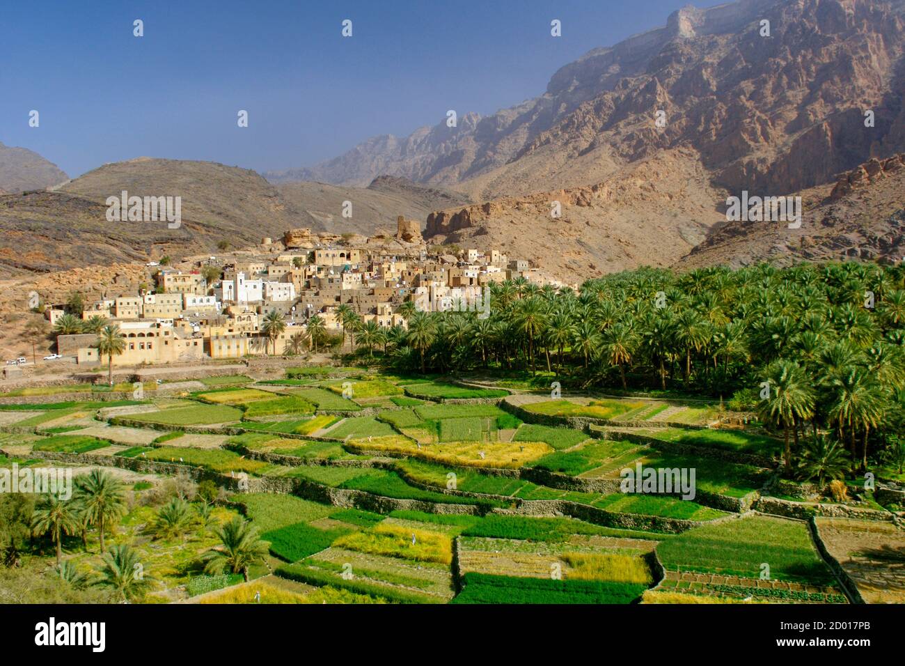 Das Dorf Bilad seT und seine Plantagen in Wadi Bani auf im Jebel Akhdar Gebirge von Oman. Stockfoto