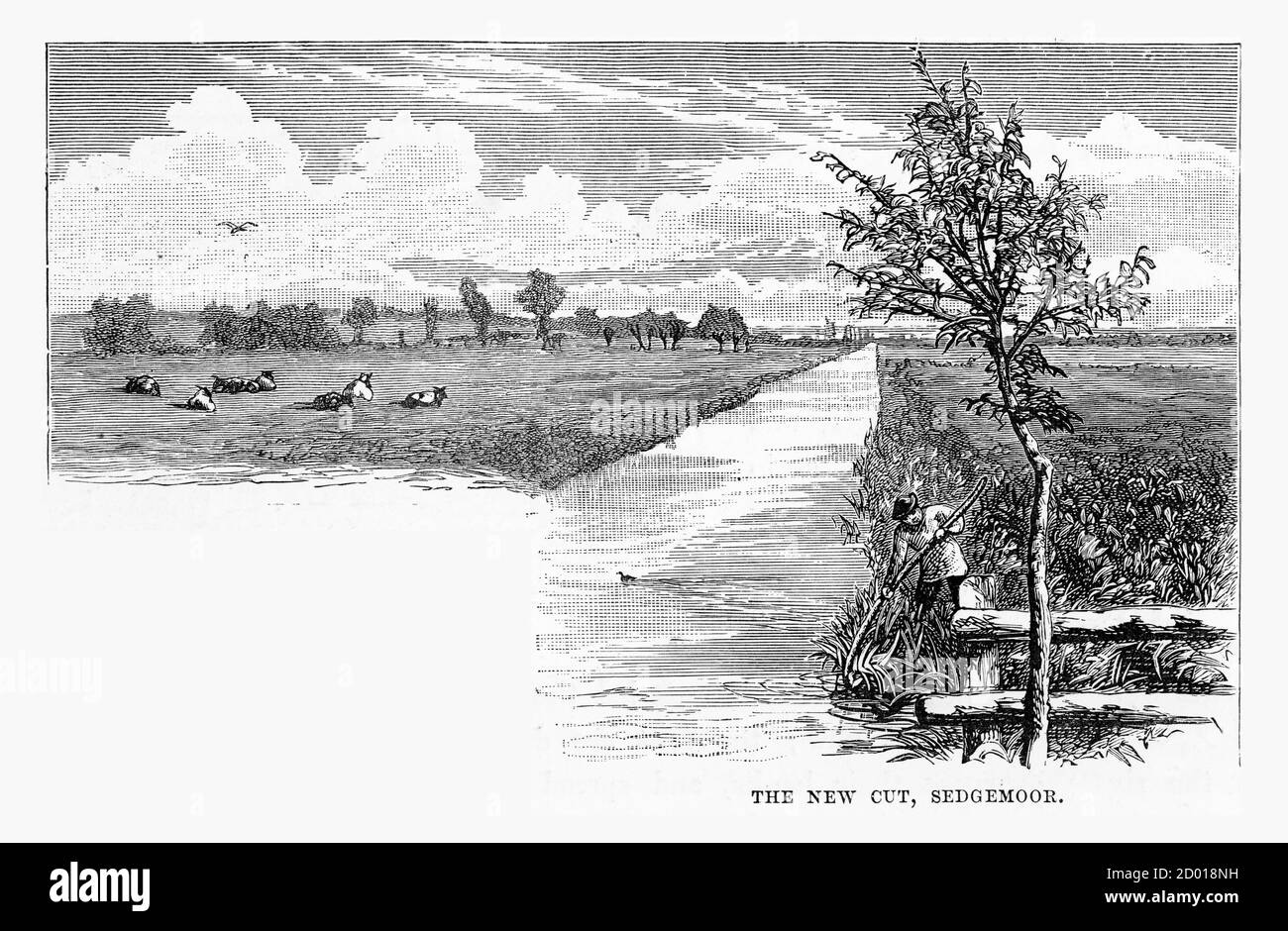 New Cut, Sedgemoor, Somerset, England Victorian Engraving, 1840 Stockfoto