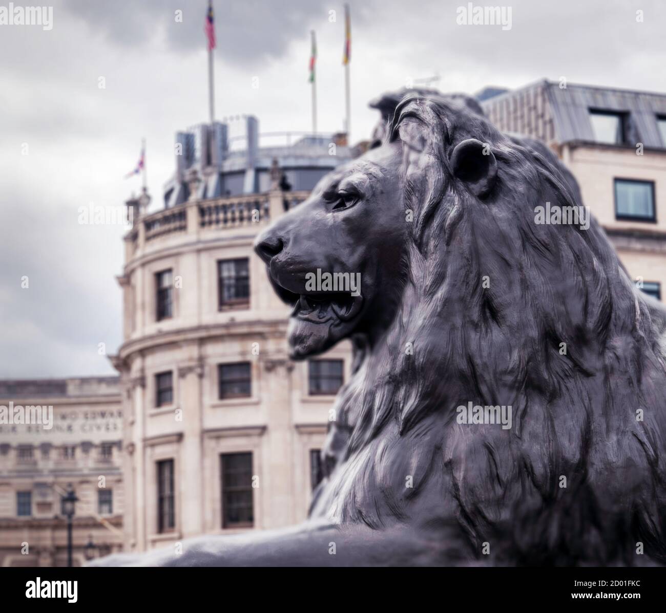 Eine Statue des Landseer Lion auf dem Trafalgar Square, London, Großbritannien. Stockfoto