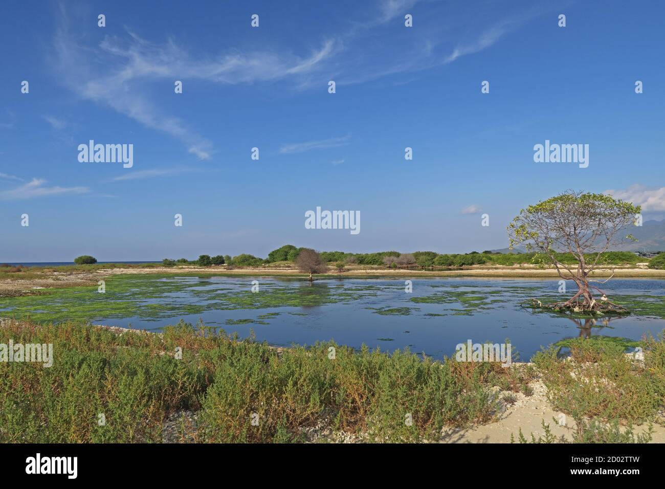 Flache Lagune Bali Barat NP, Bali, Indonesien Juli Stockfoto