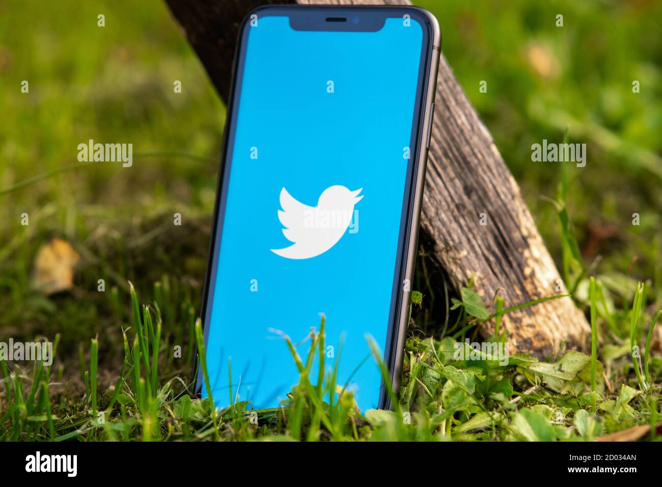 Tallinn / Estland - 28. September 2020: Schwarzes iphone mit Logo der sozialen Medien Twitter auf dem Bildschirm. Grünes Gras Hintergrund. Kann als Illustration verwendet werden Stockfoto