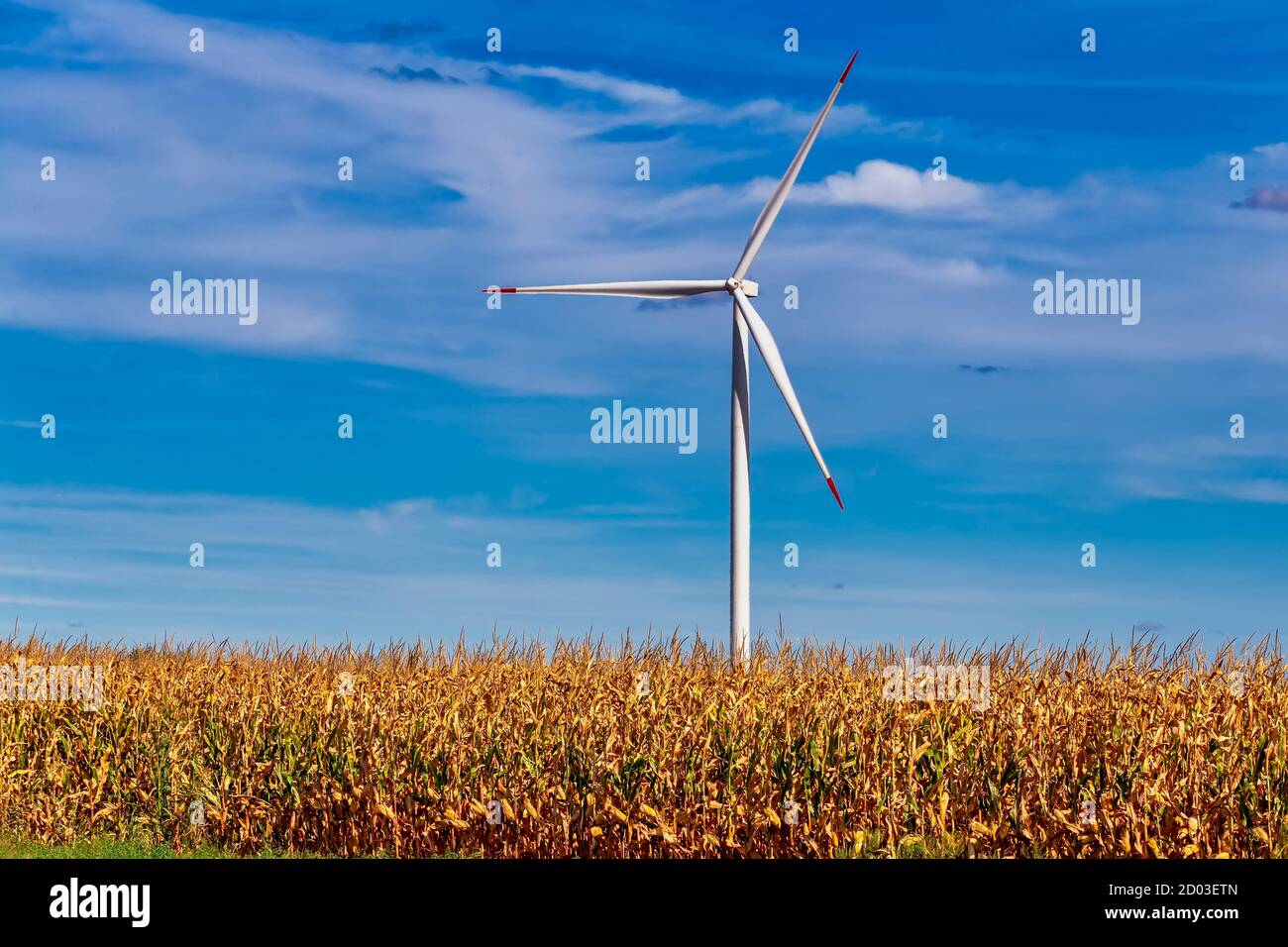 Windturbinenpark auf dem Land in Mramorak, Banat, Serbien. Konzept der Elektrizitätstechnik, innovative nachhaltige Ressourcentechnologie. Grün RE Stockfoto