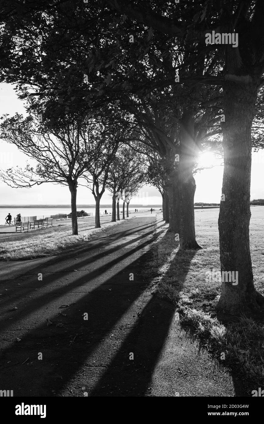 Lange Schatten von Bäumen auf einer Promenade in ramsgate, Kent an einem Herbstabend, als die Sonne tief im Himmel war. Stockfoto