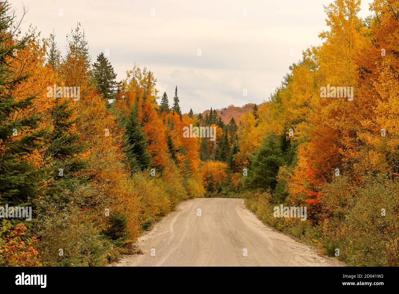 Herbst in vollen Farben Stockfoto