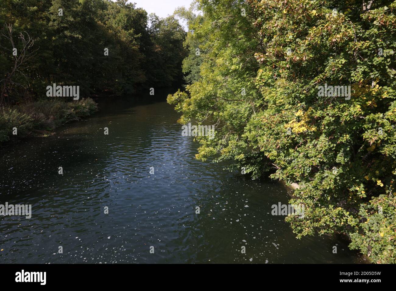 Ein ruhiger Fluss mit überwucherten grünen Ufern Stockfoto