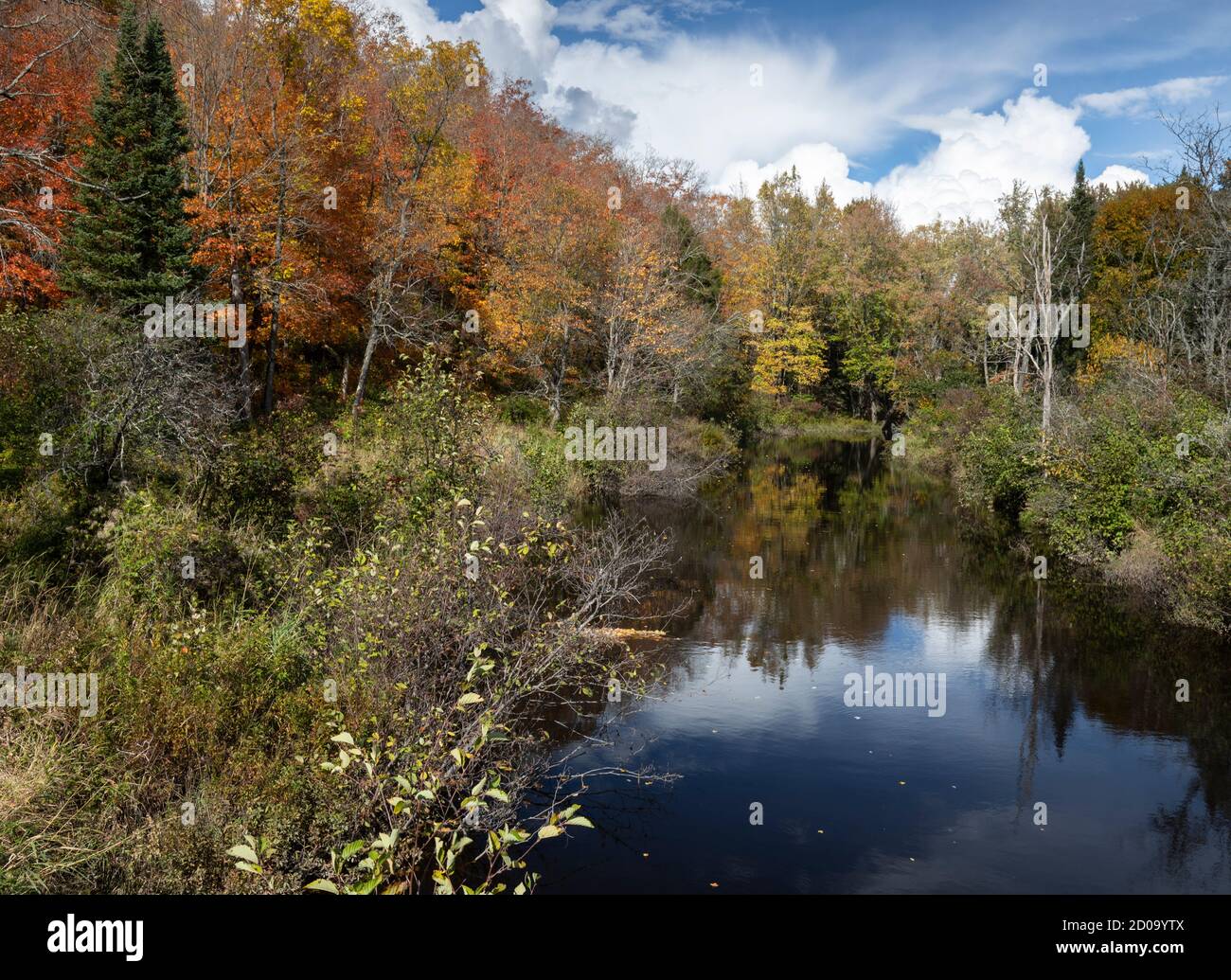 Farbenfrohe Herbstblätter um einen Fluss herum Stockfoto