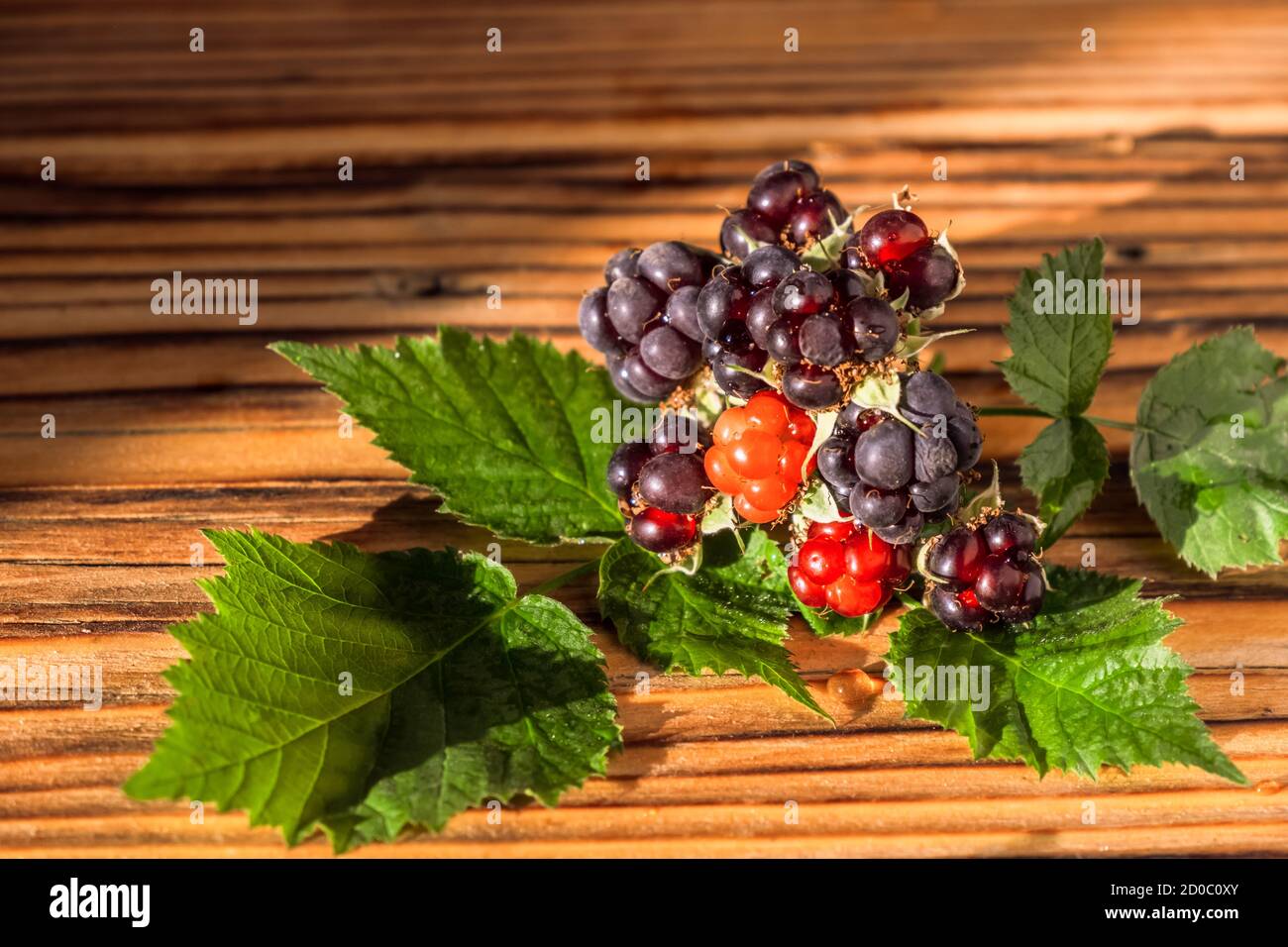 Brombeere mit Blättern auf dem Holztisch Stockfoto