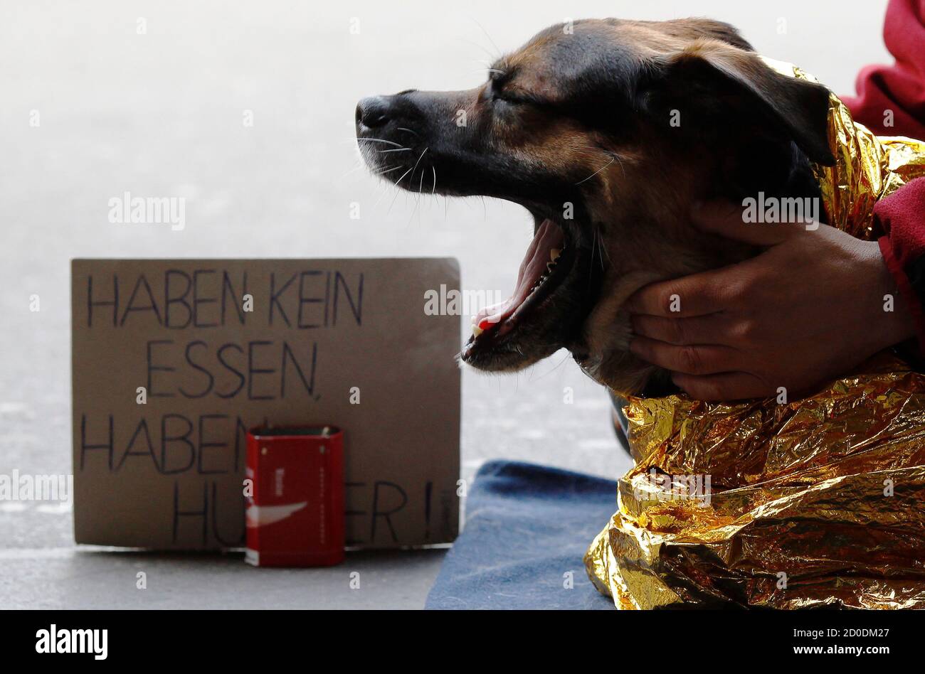 Hundefutter Schweiz Stockfotos und -bilder Kaufen - Alamy