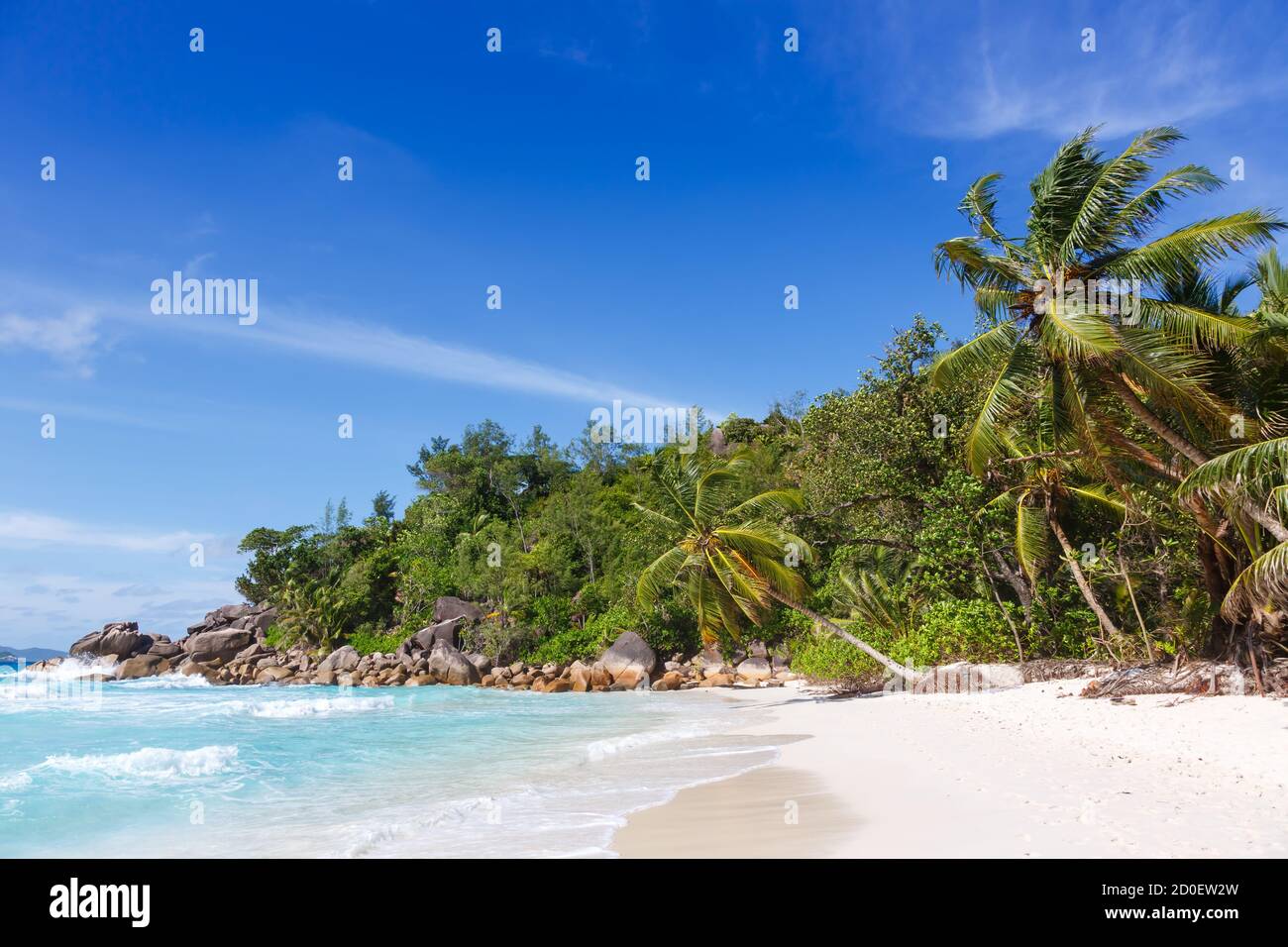 Seychellen Anse Georgette Strand Praslin Insel Palme Urlaub Meer Reise Stockfoto