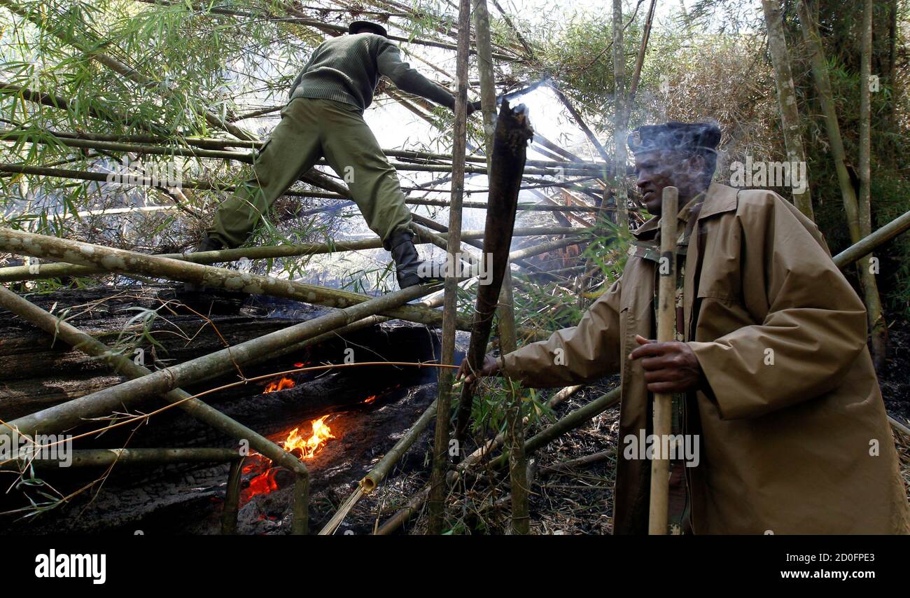 Kenianische Polizisten versuchen, das Feuer in einem Bambuswald an den ...