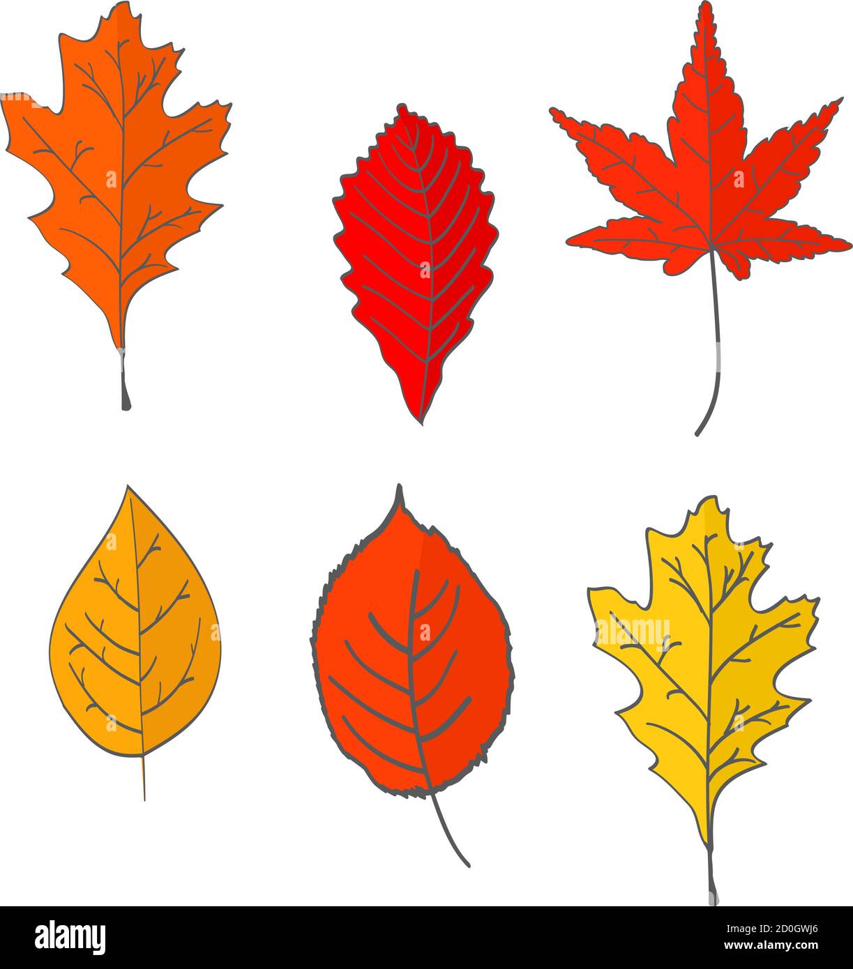 Set von Herbst gefallenen Blättern von gelber, roter Farbe. Im flachen Stil ein Vektor.Eiche, Ahornblätter. Stock Vektor
