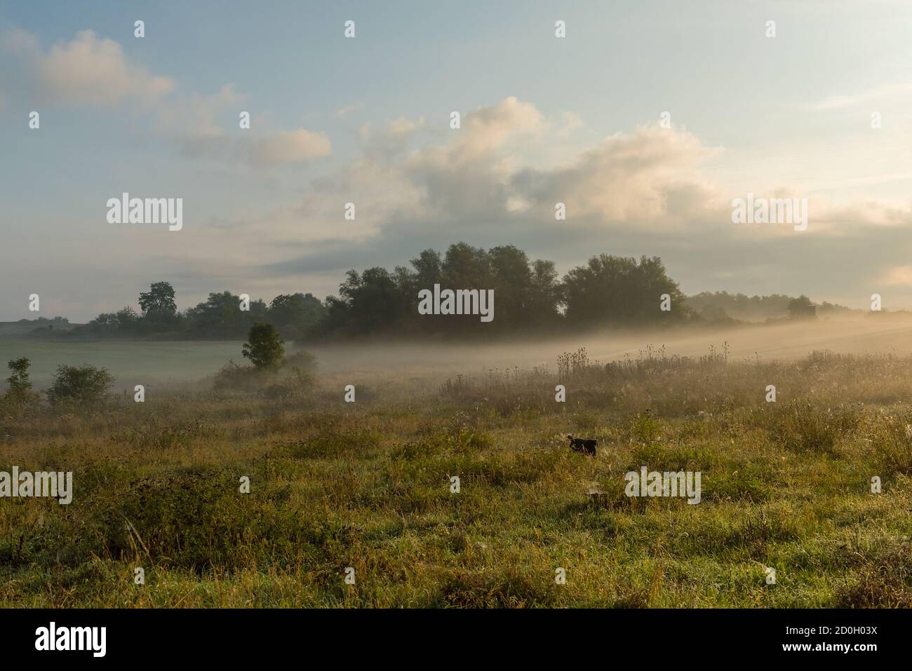 Morgenstimmung an einem frühen Herbsttag in der Uckermark Stockfoto
