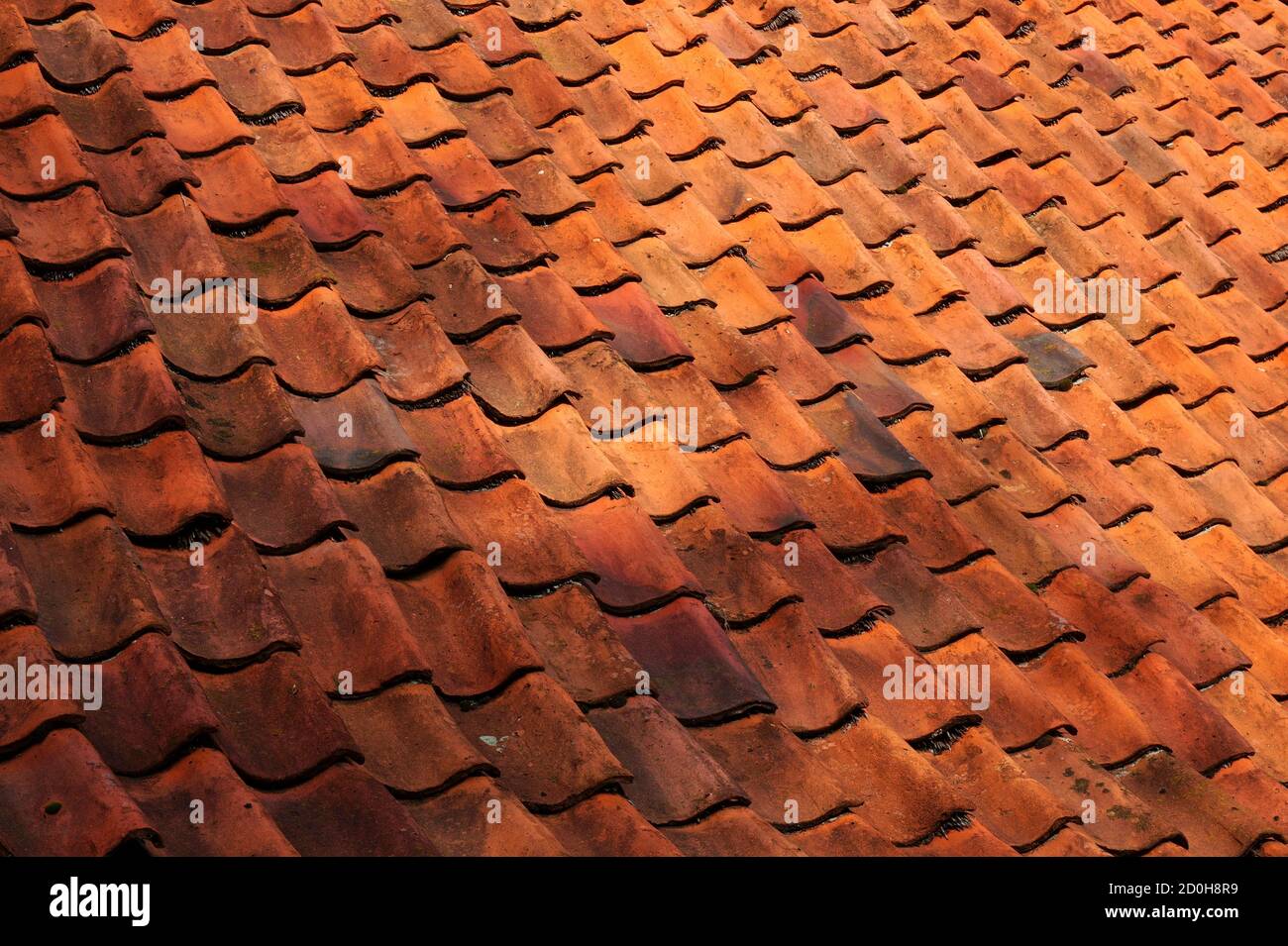 Altmodisches Dach aus roten Dachziegeln aus Lehm. Es gibt Schilf unter den Dachziegeln, um es wasserdicht zu machen. Schöne alte Handwerkskunst. Stockfoto