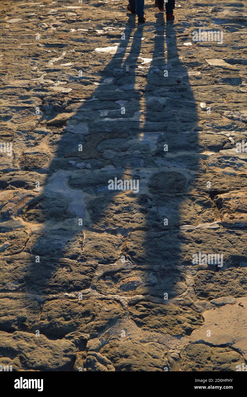 Schatten von Menschen, die auf dem Pflastersteinpflaster herumlaufen Stockfoto