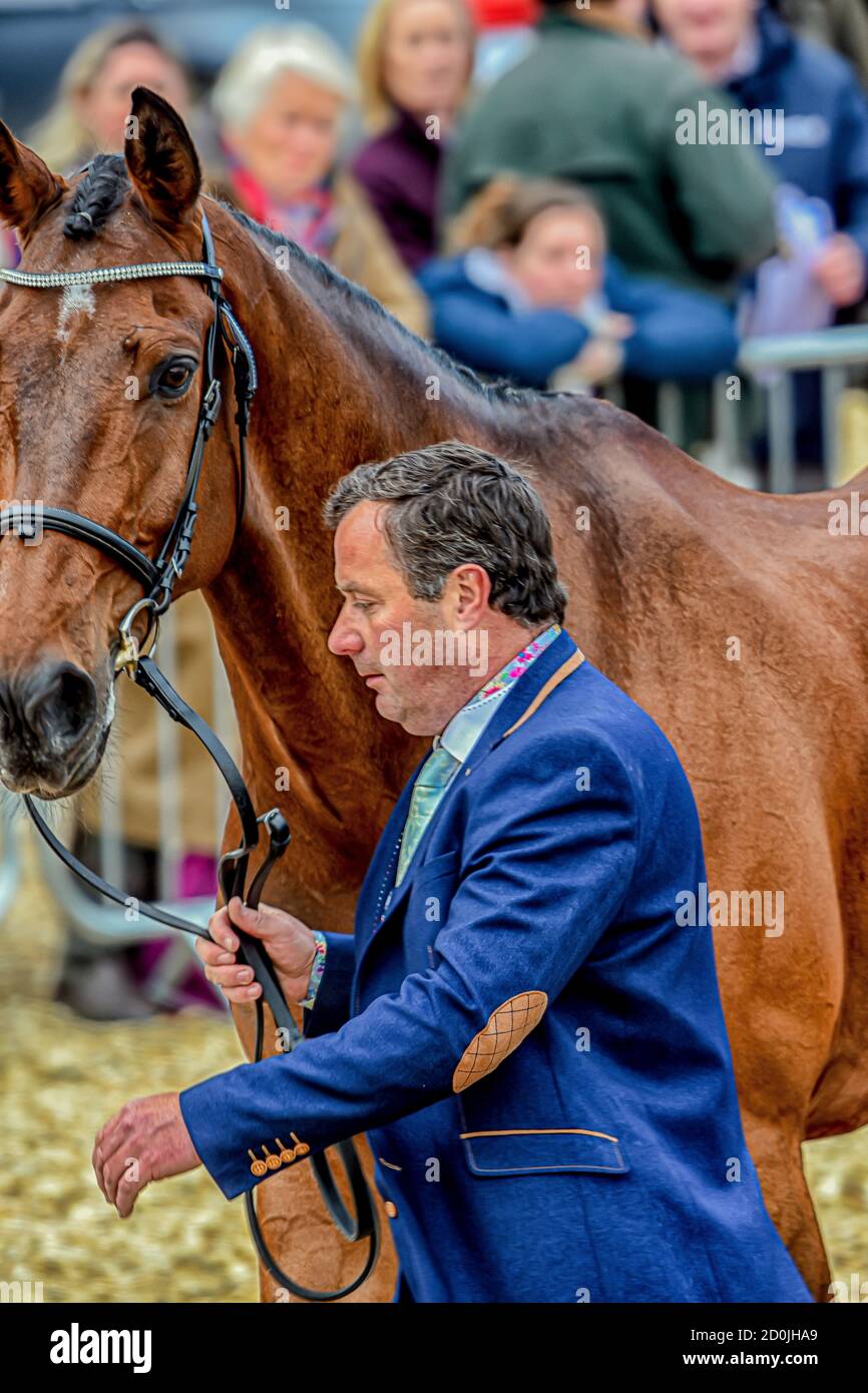 Michael Ryan Badmintonpferdeprüfungen Gloucester England Mai 2019. Michael Ryan Reitsport-VielseitigkeitVertretung Irland Reiten Dunlough Striker in t Stockfoto