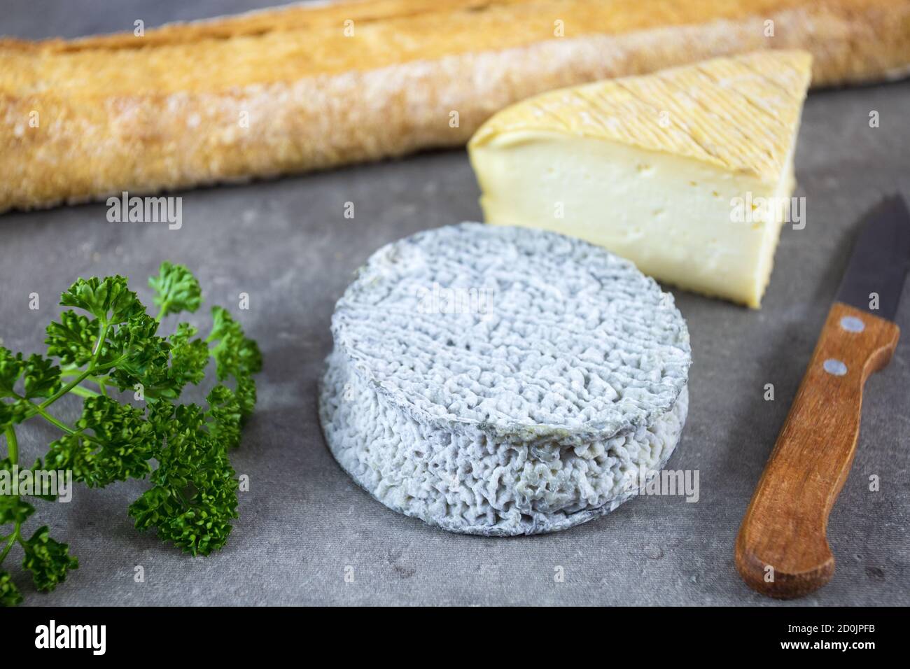 Selles-sur-Cher Ziegenkäse und Maroilles auf einem Tisch Stockfoto