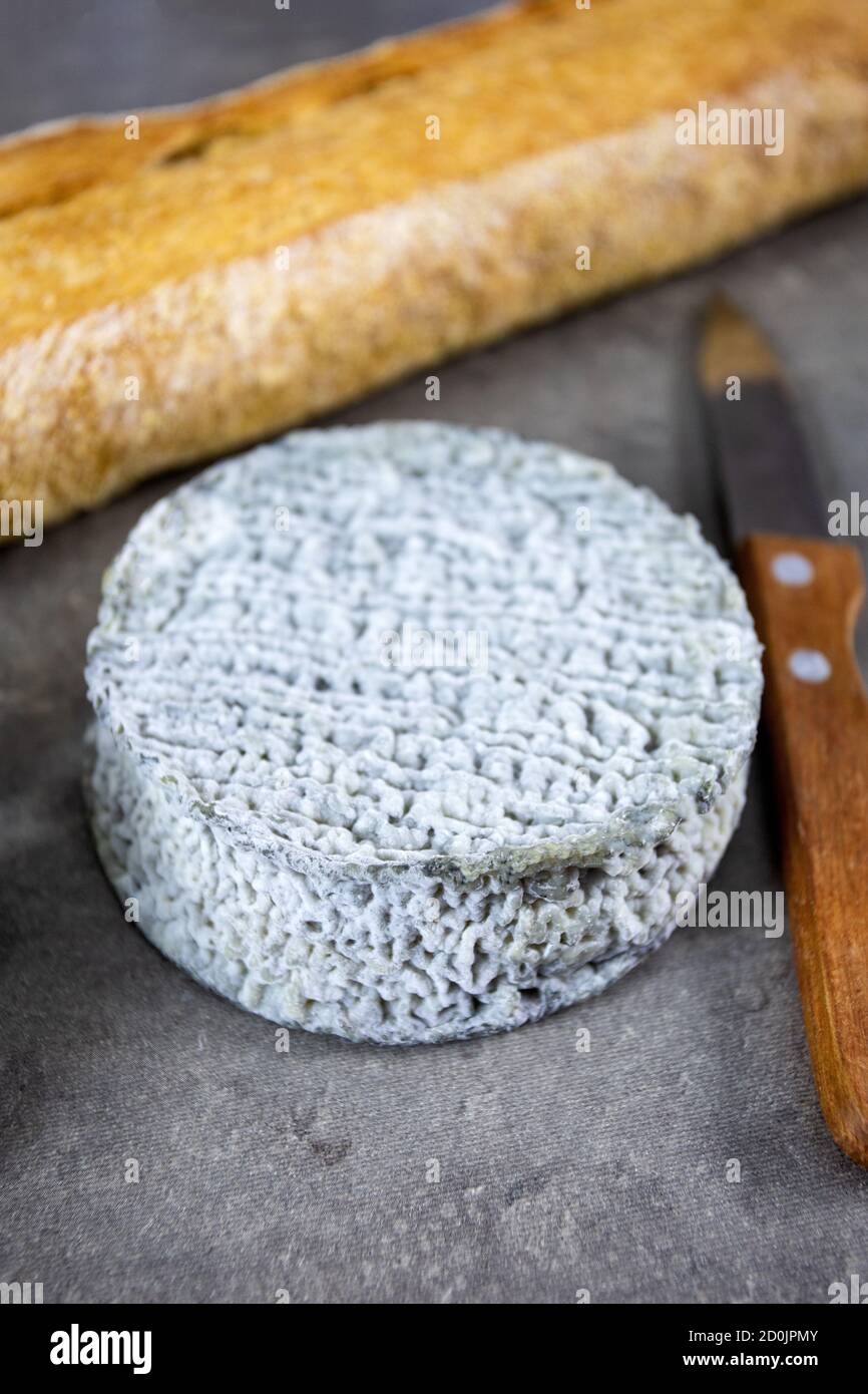 Selles-sur-Cher Ziegenkäse und Baguette Stockfoto