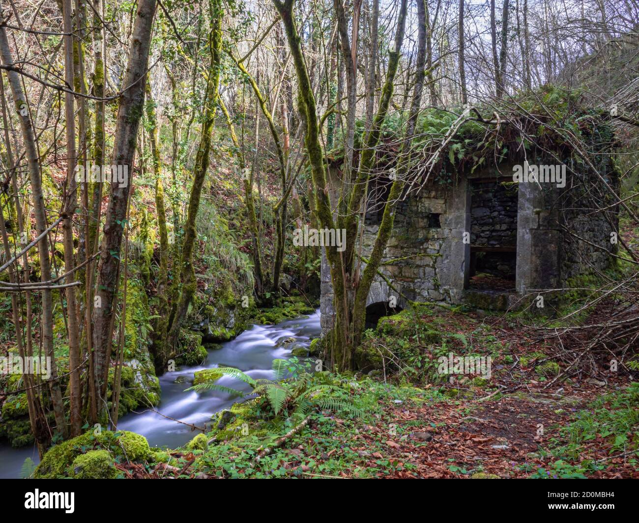 Eine alte Mühle in Ruinen wird von der Vegetation übernommen. Stockfoto