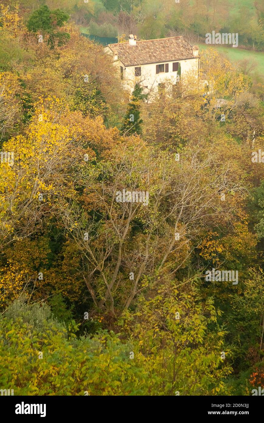 Die Farben des Waldes Marken im Herbst Stockfoto