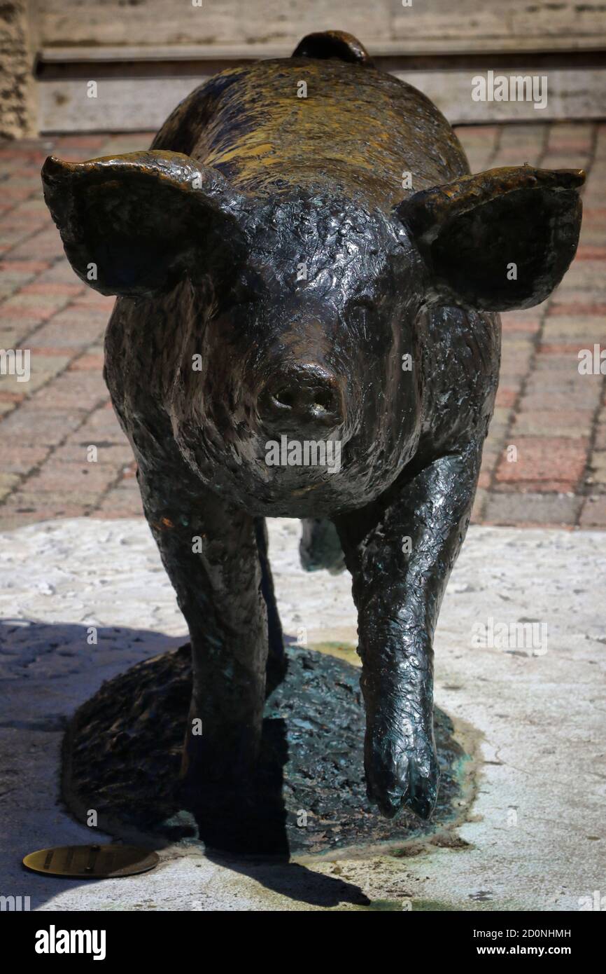 Bronze-Denkmal für das Schwein auf dem Platz von Castelnuovo Rangone, Modena, Italien Stockfoto