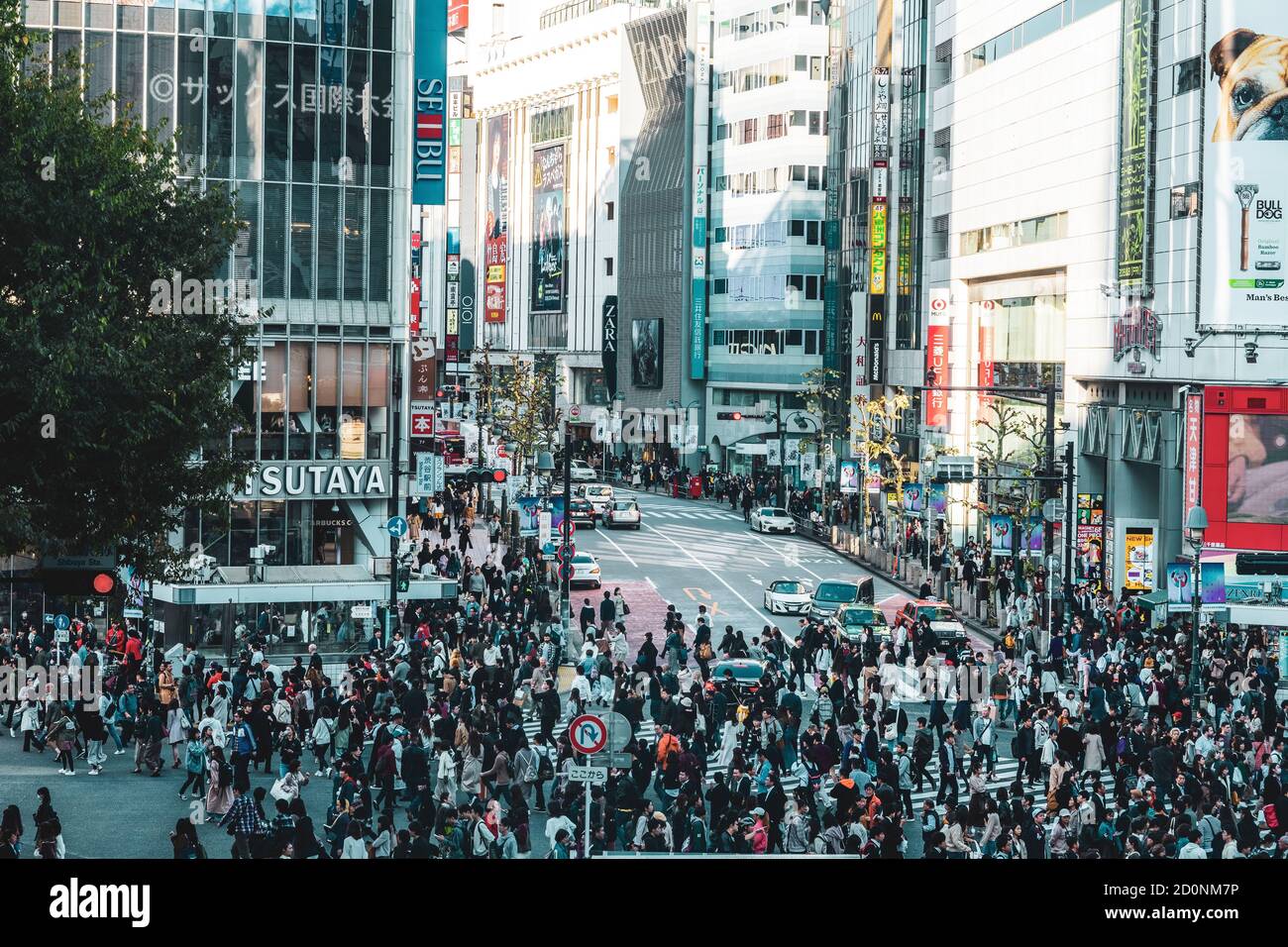 Shibuya Kreuzung in Tokio Stockfoto