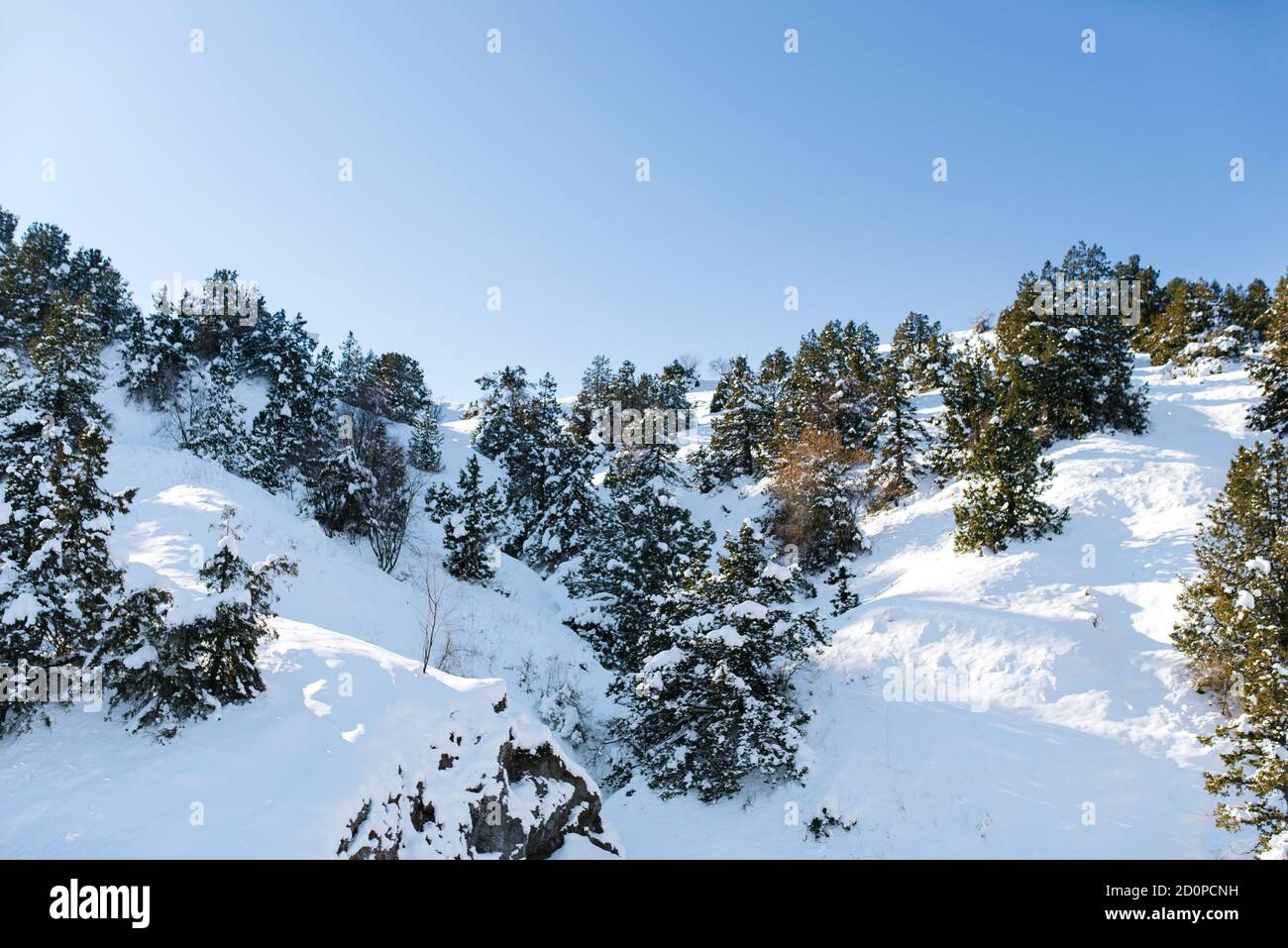 Schöne Winterlandschaft von Bergen und Winterwald in Sunny Klares Wetter Stockfoto