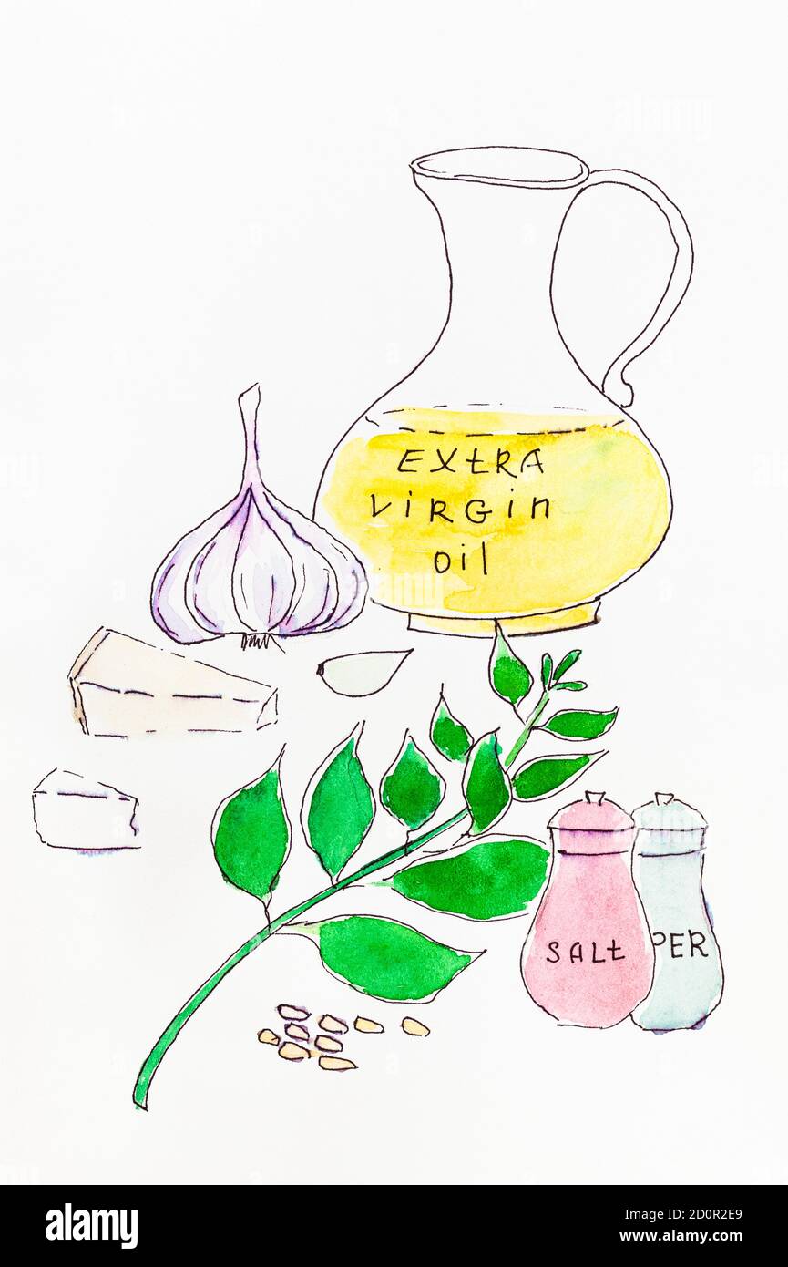 Stillleben mit Zutaten für italienische Pesto-Sauce von Hand gezeichnet Filzstift und Aquarelle auf weißem Papier Stockfoto