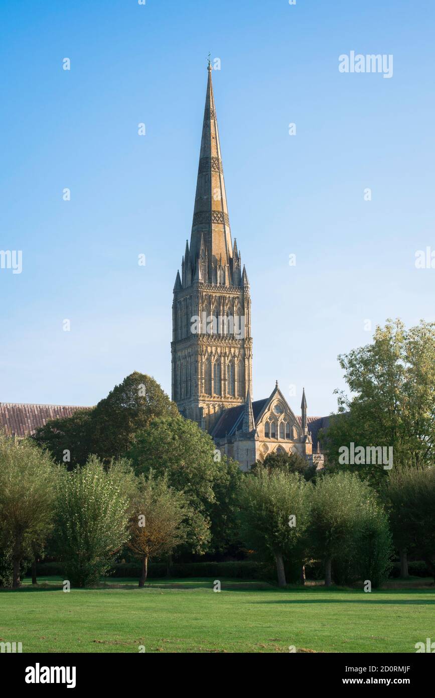 Salisbury Cathedral UK, Blick über die Salisbury Wasserwiesen zur Kathedrale aus dem 13. Jahrhundert und ihrem 123 m hohen Turm, Wiltshire, England, Großbritannien Stockfoto