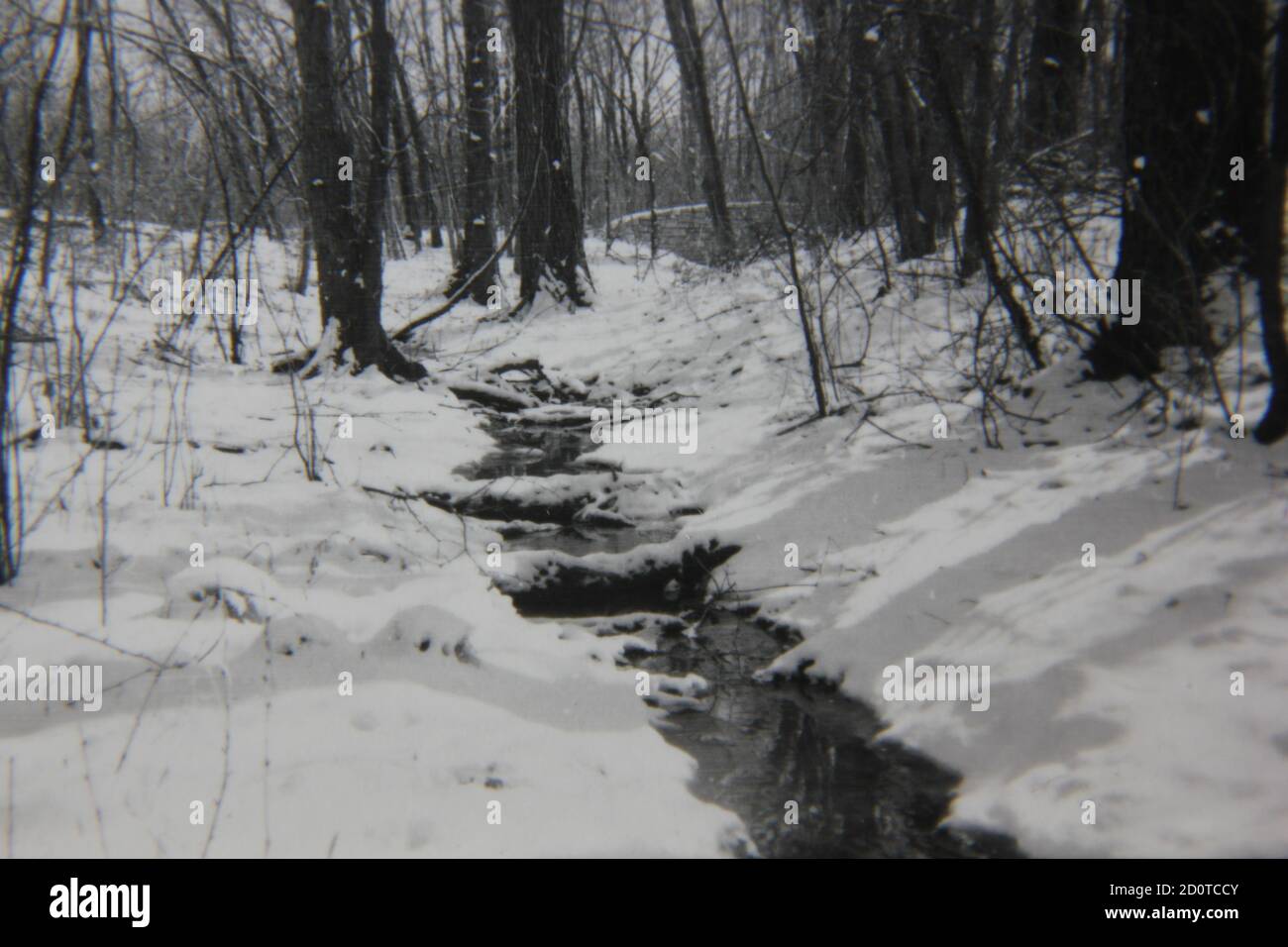 Feine Schwarz-Weiß-Fotografie der 70er Jahre von einer verschneiten Winterlandschaft in den tiefen Wäldern und fern von allem. Stockfoto