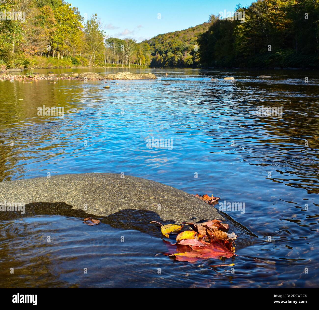 Die farbigen Blätter ruhen auf den Felsen des Flusses wie die Anzeichen des Sturzes voraus. Stockfoto