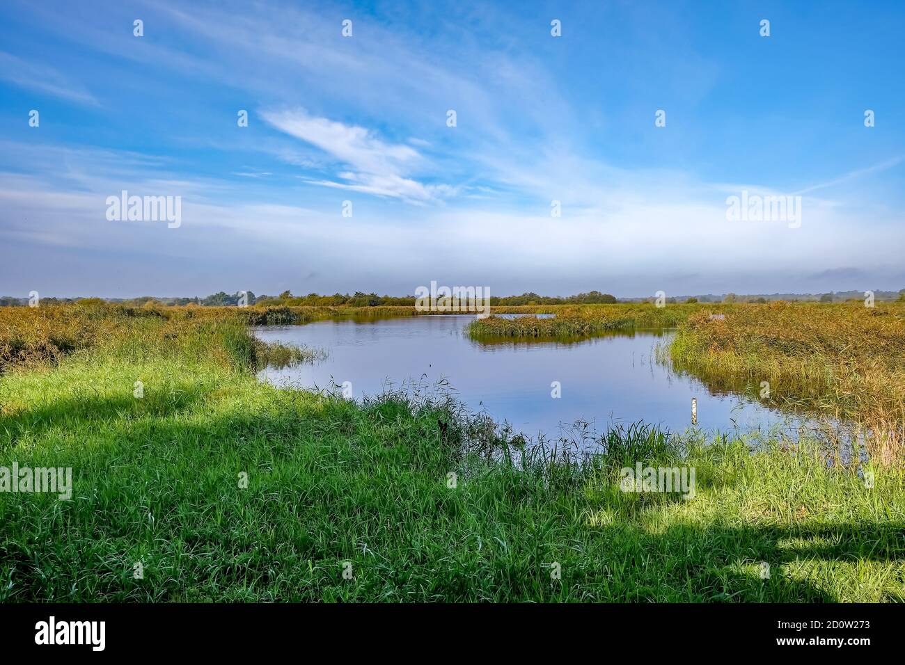 Ein Blick über den See, Reedbeds und Sümpfe aus dem Vogelschutzgebiet RSPB Strumpshaw Nature Reserve im ländlichen Norfolk Stockfoto