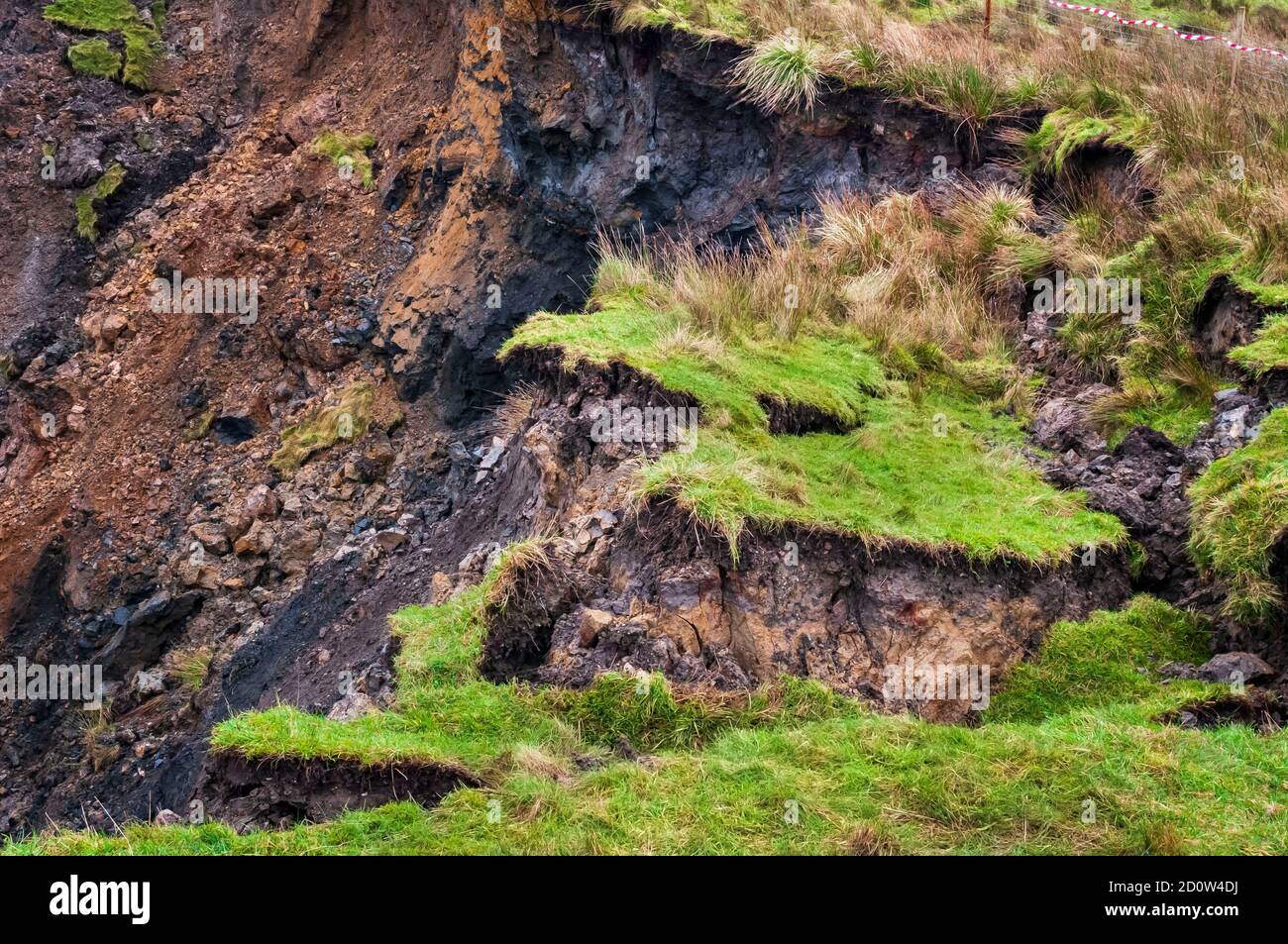 Massives Sinkhole, das durch einen Einsturz der Schieferüberdeckung in tiefe Minenanlagen im Untergrund im Jahr 2013 bei Foolow in der Nähe von Eyam in Derbyshire verursacht wurde. Stockfoto