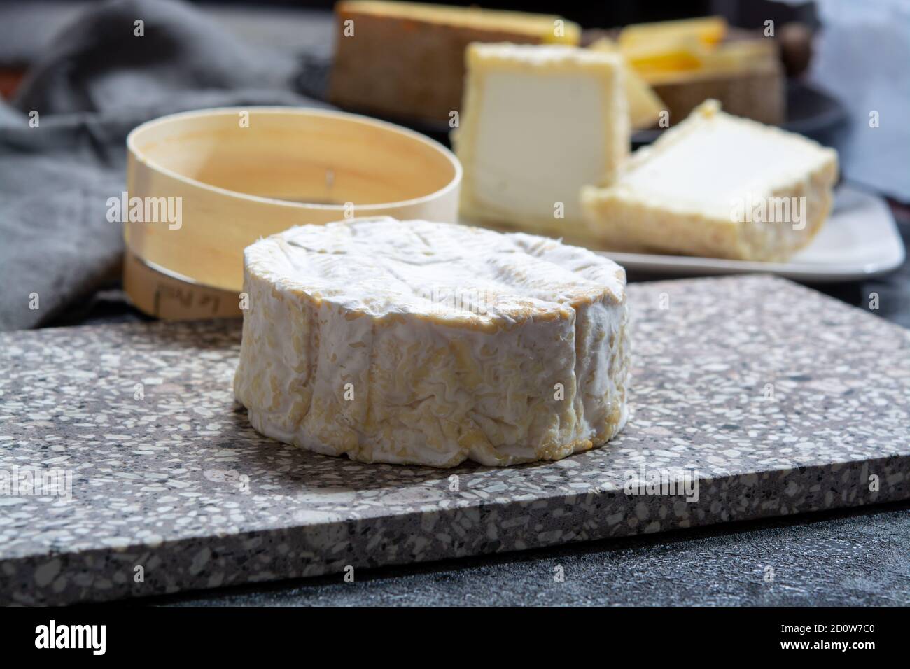 Käsesammlung, Französisch weich Camembert der Normandie Käse aus Kuhmilch in der Region Normandie, Frankreich close up Stockfoto