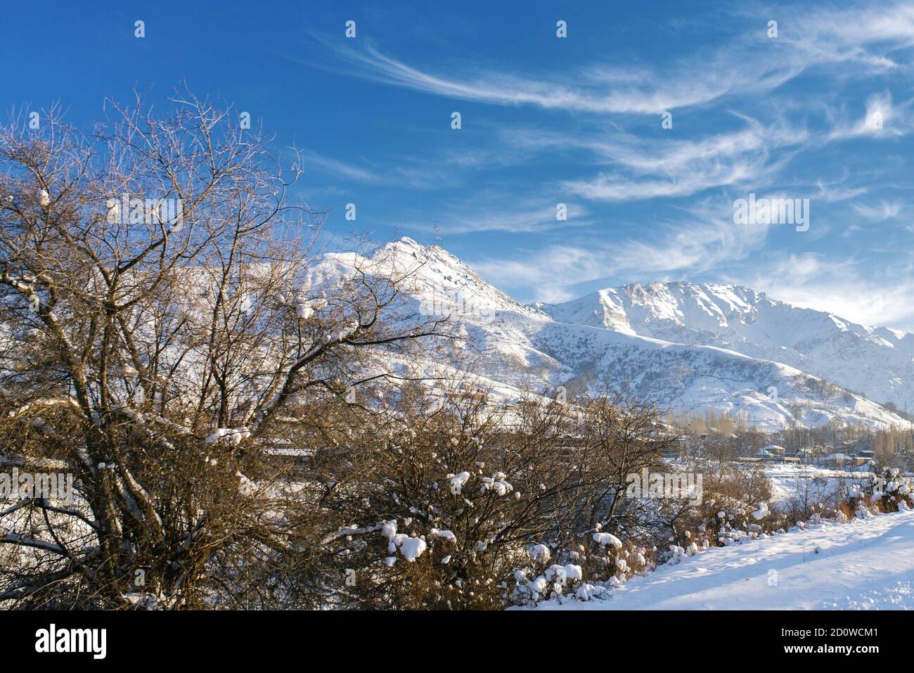 In den Tien Shan Bergen. Schöne Aussicht auf den Winter in Usbekistan. Schnee bedeckt Bäume, Berge Stockfoto