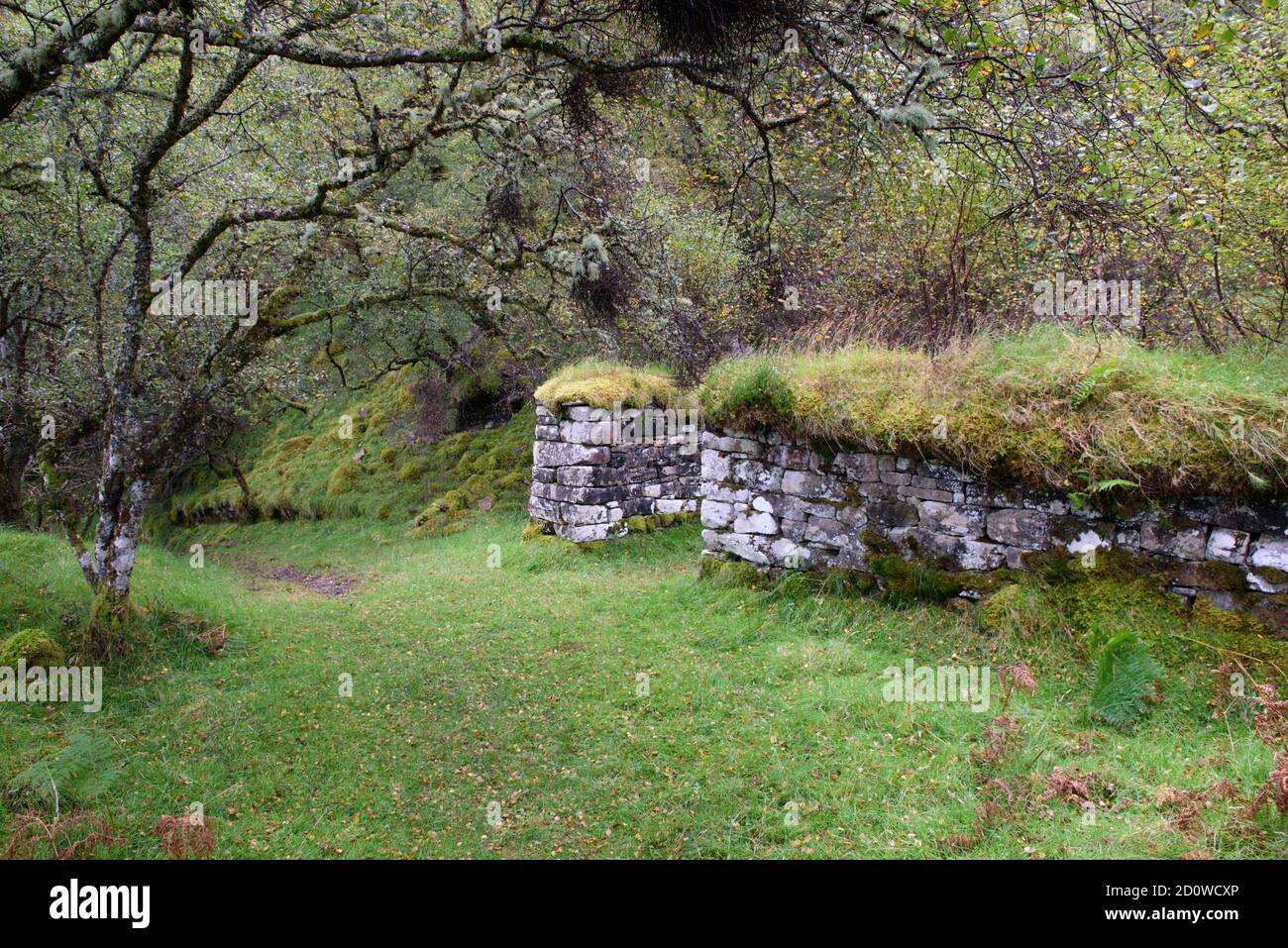 Zerstörtes Haus in Hallaig auf Raasay Schottland Stockfoto