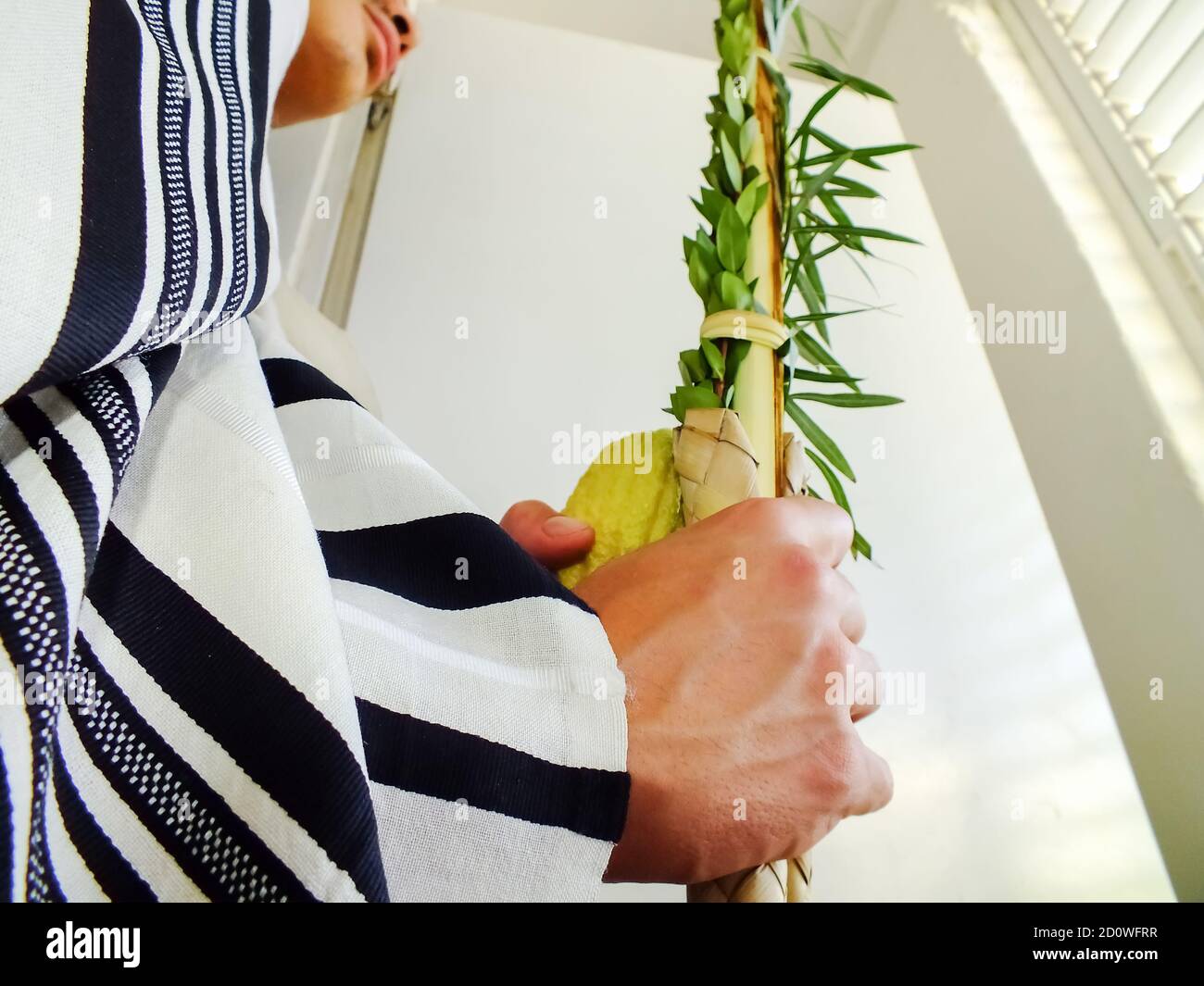 Jüdischer Mann mit traditionellen Symbolen (die vier Arten): Etrog, Lulav, hadass, Aravah Stockfoto