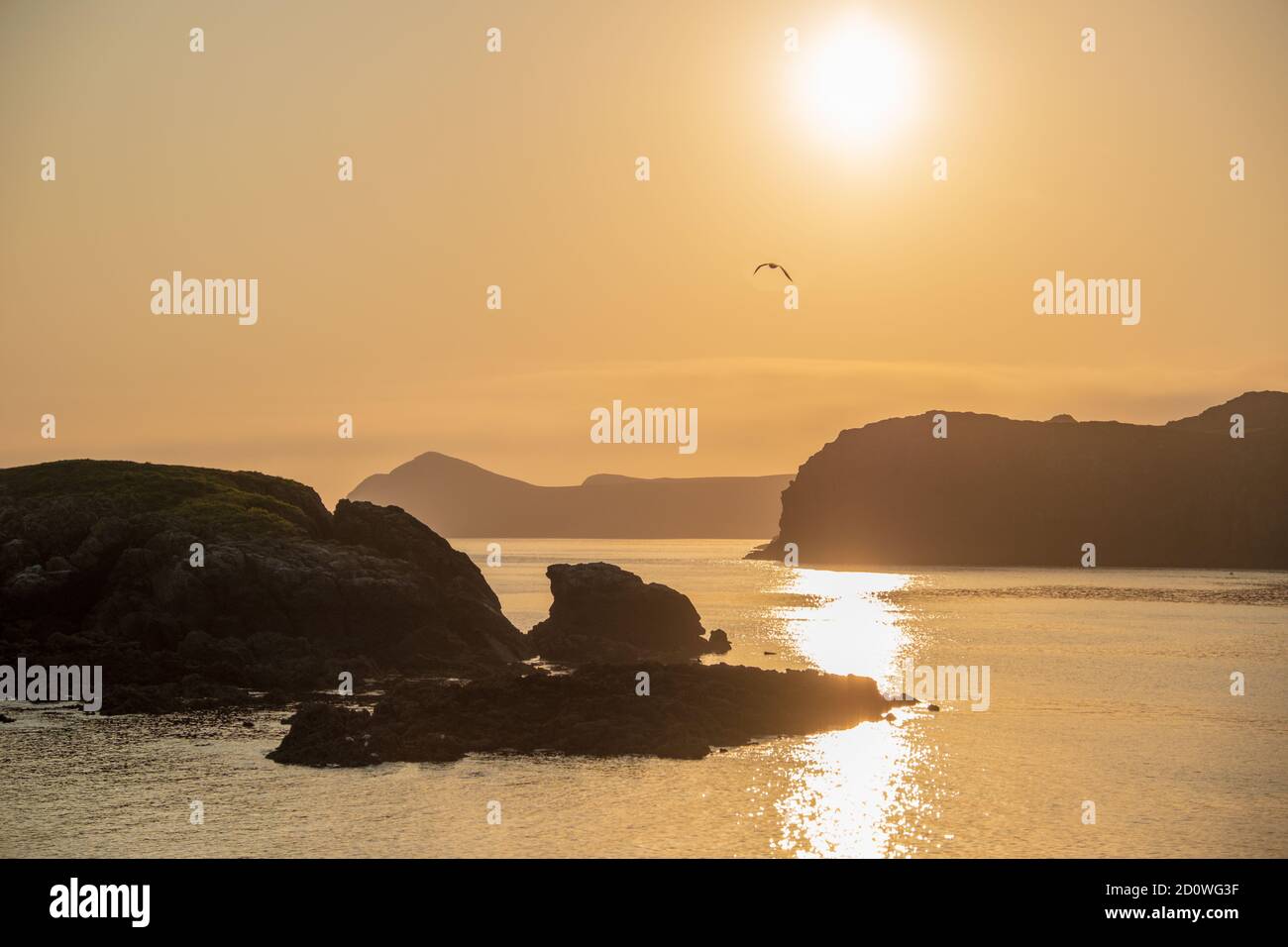 Ramsey Island bei Sonnenuntergang, Pembrokeshire Coast National Park, Wales, Großbritannien Stockfoto