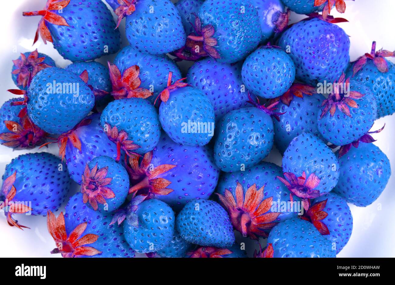 Abstrakt blaue Erdbeere, symbolisiert umweltuntaugliche Produkte enthalten, Gifte, Salpeter. Stockfoto